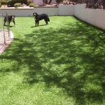 Synthetic Lawn Pet Turf Company Del Mar, Best Artificial Pet Turf Pricing