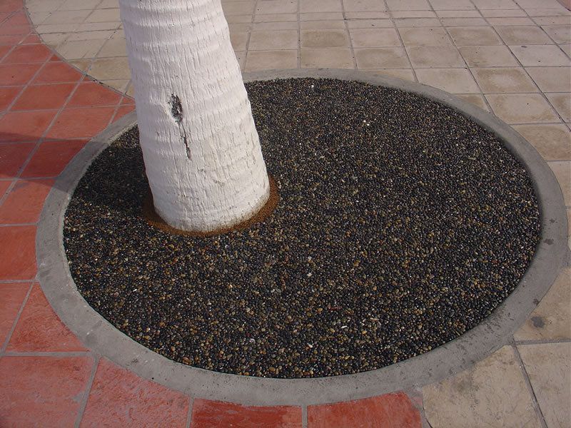 Porous Tree Well Del Mar, Best Tree Well Installation