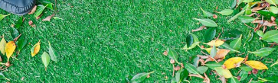 â–·5 Tips To Maintain Your Artificial Grass For Heavy Traffic Del Mar