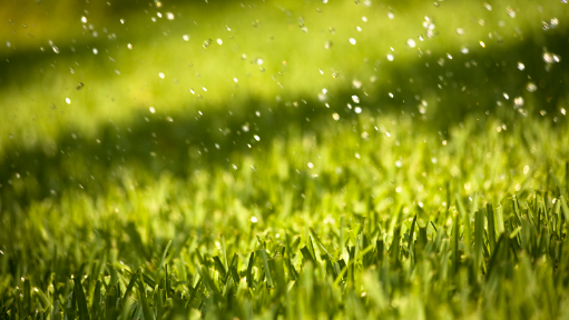 5 Benefits Of Artificial Grass In Rainy Season Del Mar