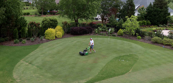7 Tips To Save Time With A Backyard Putting Green Del Mar