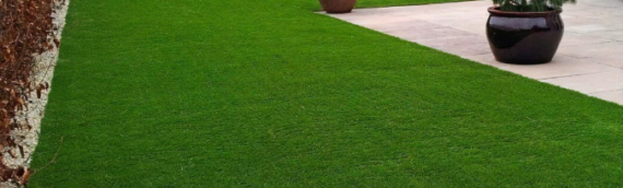 ▷7 Reasons That Artificial Grass Is More Common Than You Might Think In Del Mar