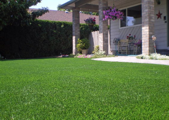7 Reasons That Artificial Grass Is Perfect For Contemporary Landscapes In Del Mar