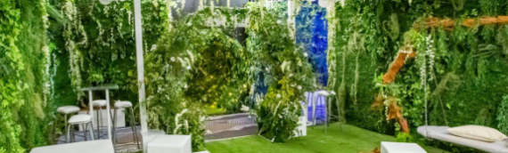 ▷How To Use Artificial Grass In Event Spaces In Del Mar?
