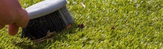 ▷7 Tips To Remove Wrinkles From Artificial Grass In Del Mar