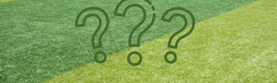 ▷5 Tips To Solve Bumpy Artificial Grass Problems In Del Mar