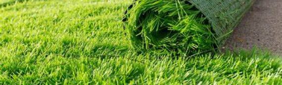 ▷5 Tips For Installing A Quality Sub-base For Artificial Grass Installation In Del Mar